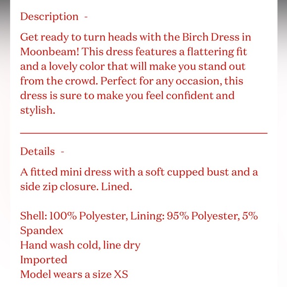 NIA birch dress from Lisa Says Gah - Picture 4 of 5